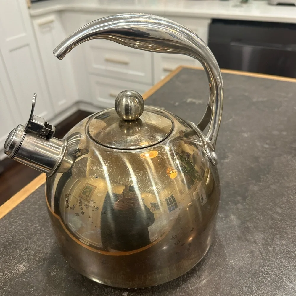 Williams Sonoma Silver Tea Kettle